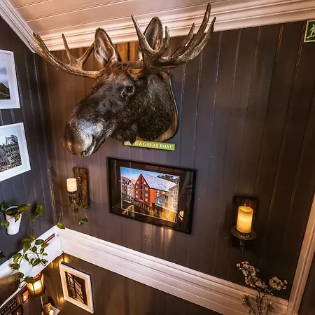 Bed & Waffles, 2* Tromso