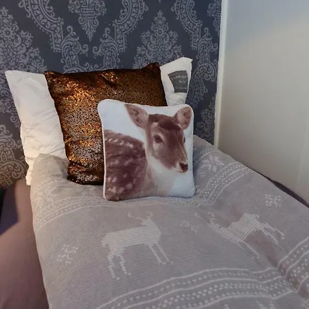 Bed & Waffles, Tromso